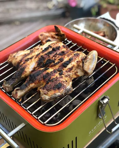 Everdure Everdure Cube Charcoal Barbecue Green / Khaki (HBCUBEKEU)