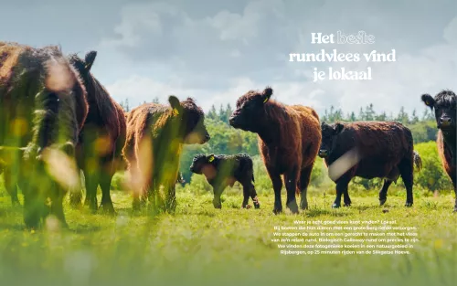 Smokin' Flavors Healthier BBQ'ing (9789083476933)