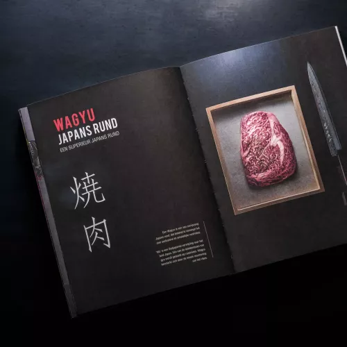 Yakiniku Cookbook Japanese grill - The magic of YAKINIKU - SHICHIRIN - DUTCH (500524)